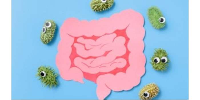 Comment prendre soin de son microbiote ?