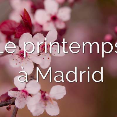 On fête le printemps à Madrid !