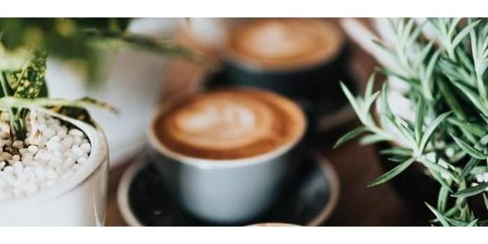 ⛔ Café de quartier La Moraleja