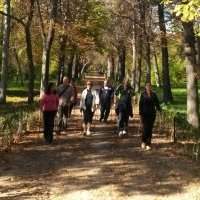 Marche sportive au Retiro - Mercredi 3 septembre de 10h00 à 11h00