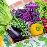 ⛔ Atelier nutrition - Lundi 25 janvier 2021 de 11h00 à 14h00